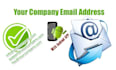 provide email with your domain