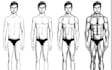 write high quality articles about fitness
