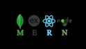 develop mern stack custom website, webapp with react node js mongodb