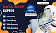 do data entry and copy paste tasks