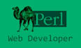 be your perl web developer