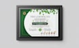 design professional certificate templates, diplomas, award