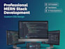 deliver professional mern stack development with custom CSS design