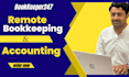 providing remote bookkeeping, accounting, and cfo services