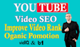 do youtube video SEO and organic promotion