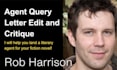 professionally edit and critique your agent query letter