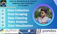 do data analysis and visualization in jupyter notebook using python