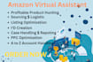 amazon VA seller account manager