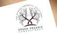 craft a professional minimalist logo for your business