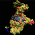 do molecular docking , molecular dynamic simulation,3d protein prediction