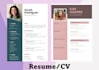 create a resume or CV in dutch or english or for you
