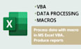 program excel vba macros and form