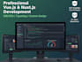 develop a vuejs spa or nuxtjs app with API integration and fast performance