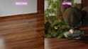 composite 3d model elements to your videos