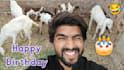wish happy birthday song with custom message