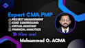 do project management, cost control, be virtual assistant