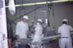 write a food safety plan for your american food company