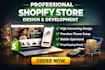 create a professional looking shopify store and redesign your store