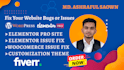 create elementor pro wordpress site and fixing your site bug