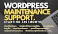 maintain and provide support for your wordpress website