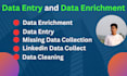 do data enrichment, data appending and b2b lead generation