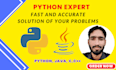 do python programing projects, tasks and software developing