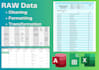 provide express service for data cleaning and formatting