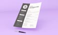 provide a professional resume, CV design service