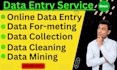 do accurate data entry, copy paste, web research and data formatting