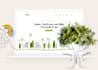 do environmental ngo website design