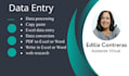do data entry in low price