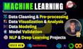 do any machine learning project in python