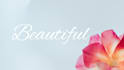 animate handwritten calligraphic text
