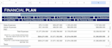 design financial model wordpress website with financial and business plan