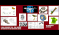 3d modeling, rendering, drawing, simulation and related