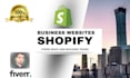 provide shopify website fixing, building, and optimization services