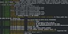 train you in cybersecurity using kali linux and windows