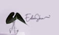 design signature handwritting and cursive logo design