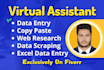 do freelance data entry work, web research, copy paste and excel data entry job