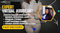 professionally execute your virtual assistant tasks