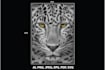 recreate any face image into rhinestone designs