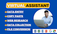 be your virtual assistant for data entry, copy paste, typing and web research