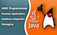 develop custom java desktop apps with database integration