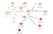 do your data science project by using orange and weka
