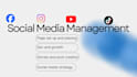 create social media management and content creator