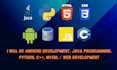 do java programming android apps python projects html css javascript web tasks