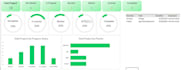 create a professional excel dashboard