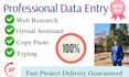 provide excel visual dashboard, accurate data entry, typing services