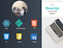 do front end development using reactjs