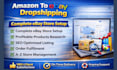 do amazon to ebay dropshipping, ebay expert